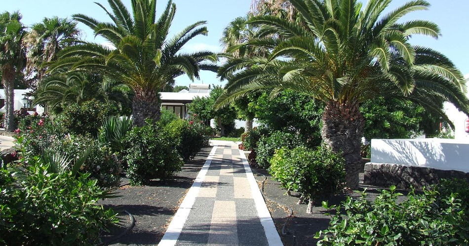 Playa Limones photo 4